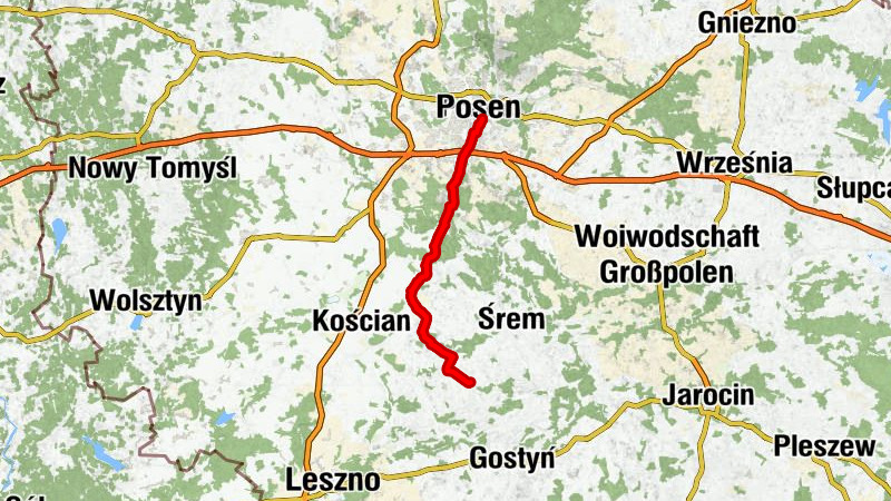 Poznań - Kostnica - Kościół pw. św. Piotra i Pawła - figura Matki Bożej