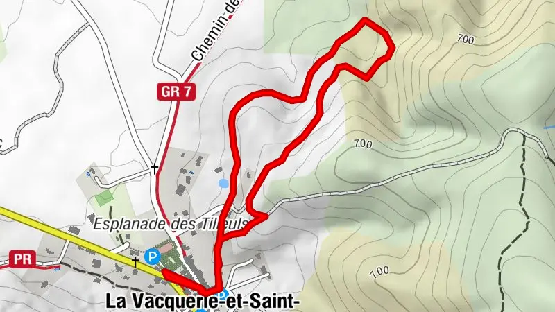 ESSENZEN UND SINN – DER EICHENWEG