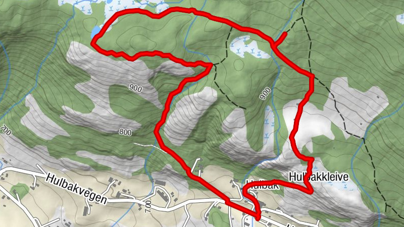 Hulbak - Hulbakkleive - Hemsedal