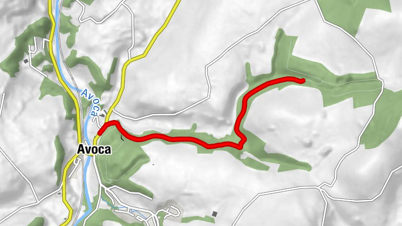 Avoca