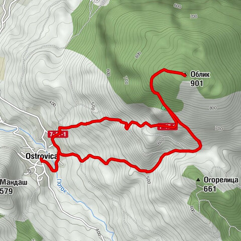 Островица - Облик