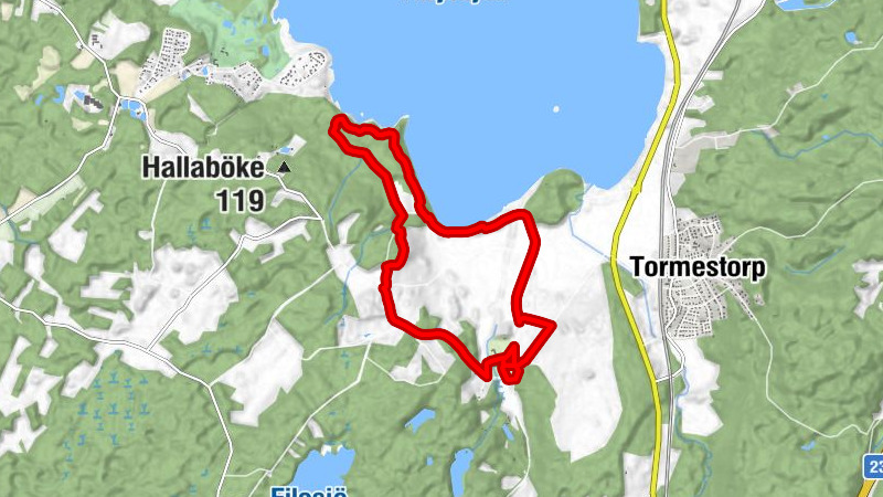 Hässleholms kommun - Ronja