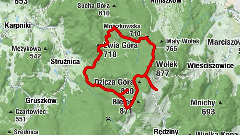 Rędziny - Bezdroże pod Bielcem - Lwia Góra - Wołek