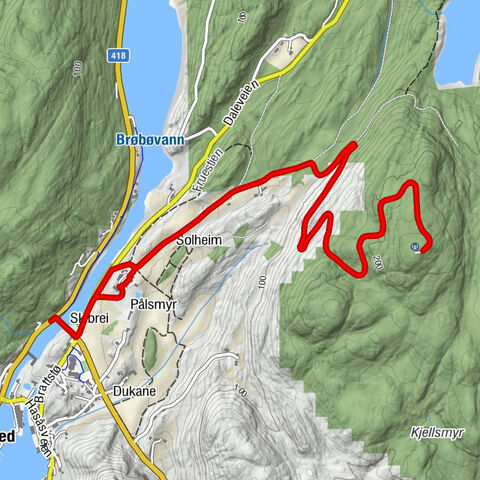 Skibrei