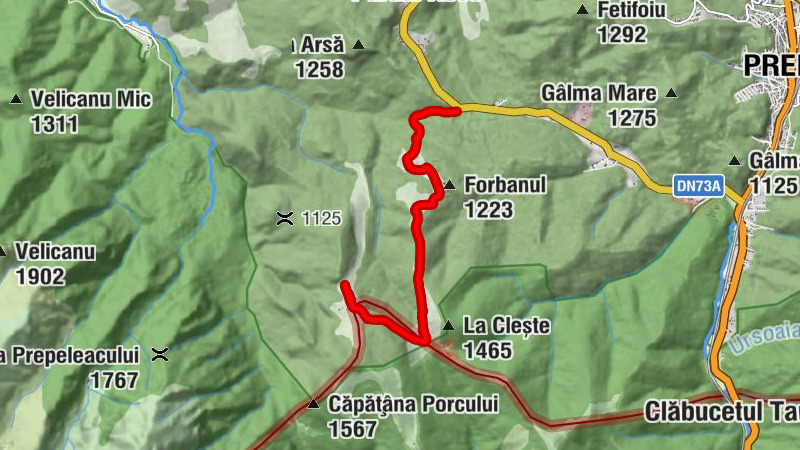 Râșnov - Șaua Baiului - Cabana Saua Diham - Cabana Diham