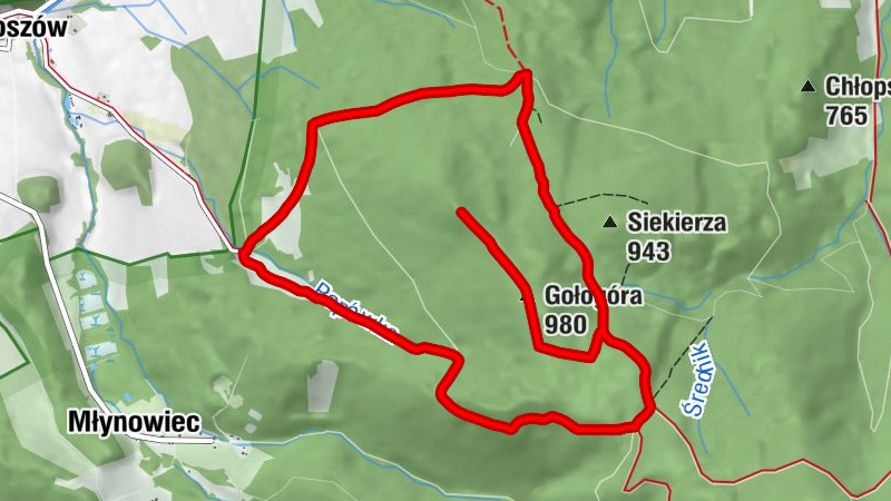 gmina Stronie Śląskie - Gołogóra - Przełęcz Dział
