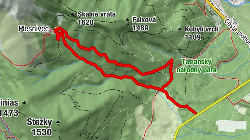Tatranská Lomnica - Plesnivec