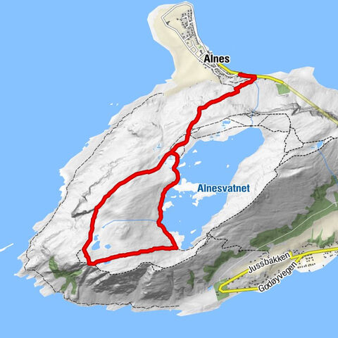 Alnes