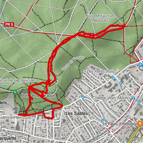 Petit tour dans la forêt des fausses reposes, avec des bosses, et descente par une « piste noire » très raide pour finir