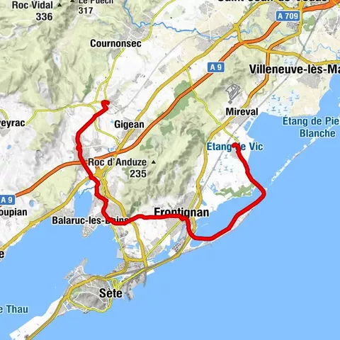 MITTELALTERLICHE ROUTE ZWISCHEN TEICH UND WEINBERGEN DES ARCHIPEL DE THAU