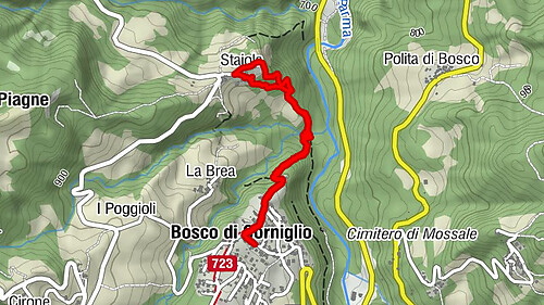 Bosco a fare il bagno
