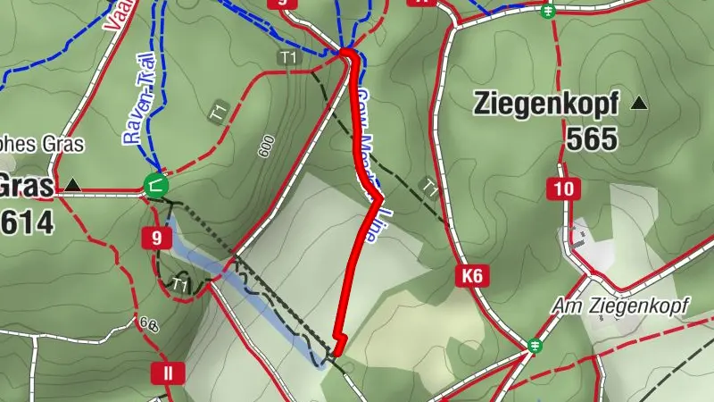 Cow-Meadow-Line (Flowtrail)