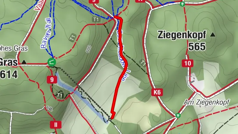 Forest-Jump (Jumpline)