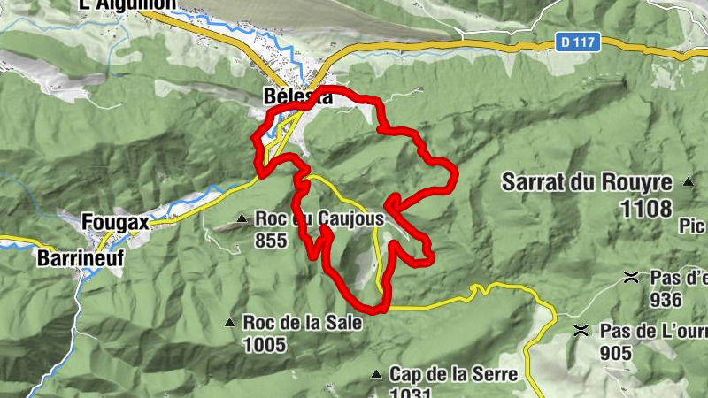 The communal forest of Bélesta