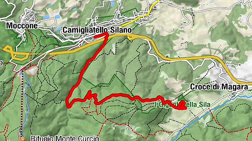 Camigliatello - I giganti della Sila
