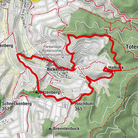 Vogtsburg - Bickensohler Lösshohlwege-Pfad