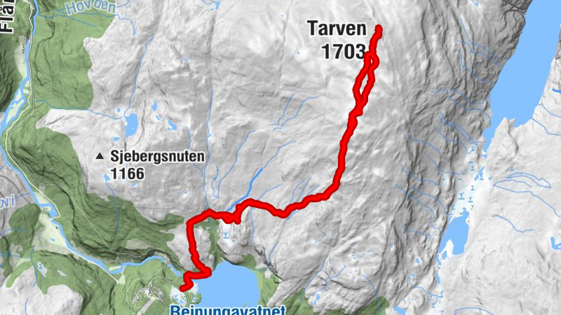 Auf den Tarven