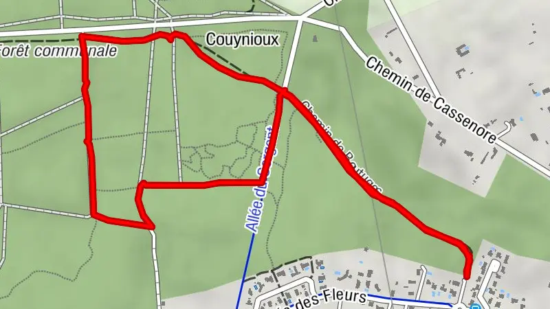 Balade à roulettes : La forêt du Taillan 2 - Impraticable