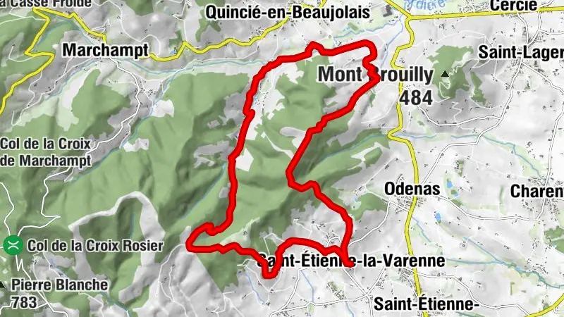 Nordic Walking in den Heidelandschaften - Saint-Etienne-la-Varenne - Beaujolais