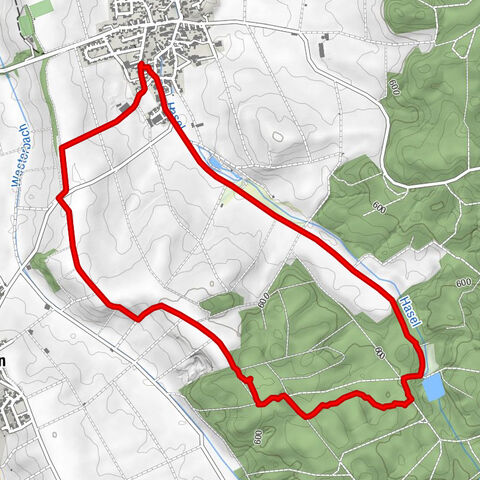 Pfifferlingsrund
