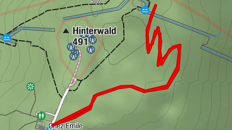 PMR-Promenade Hochwaldweg vom Chemin des Cimes Alsace bis zum Panzergraben