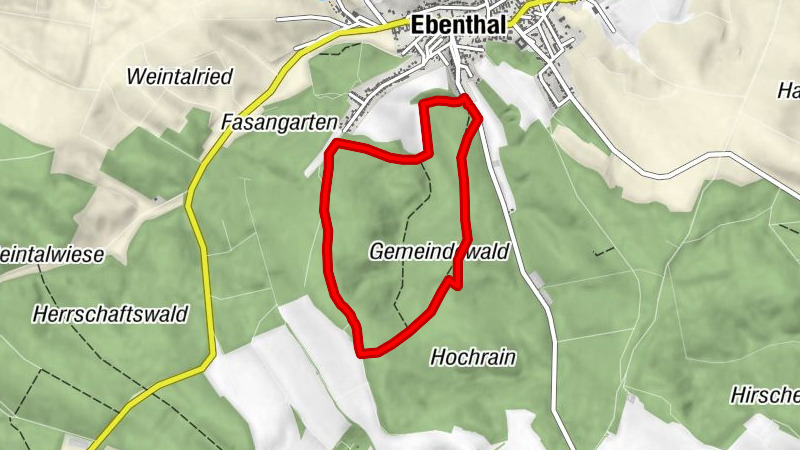 Waldwanderweg Weißweg