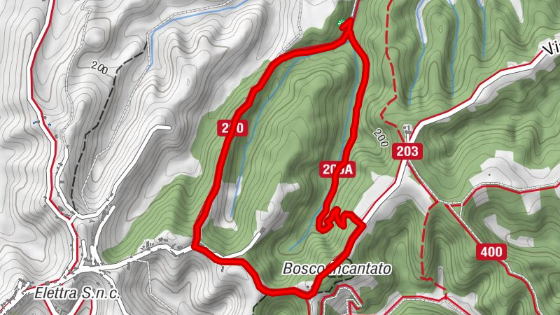 Paläontologischer Park Asti | Muscheln, Blumen und Waldtiere