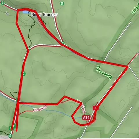 Naturerlebnis Wald Meerhof