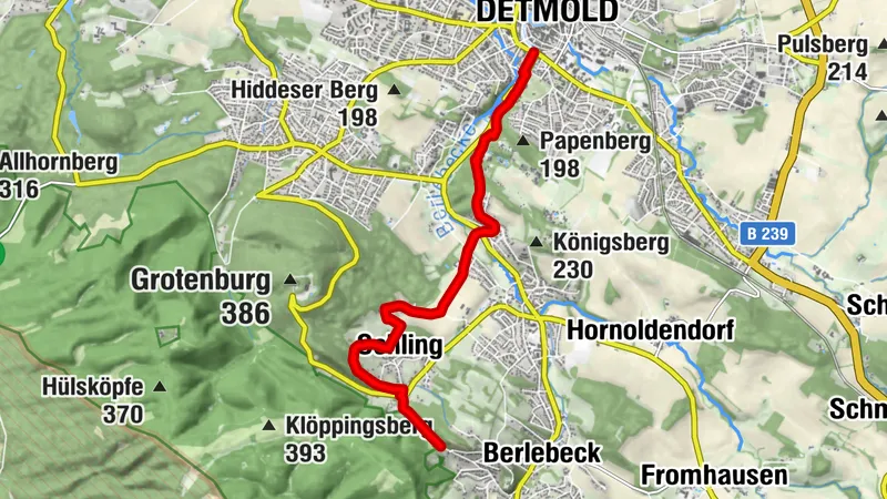 Hangsteinweg