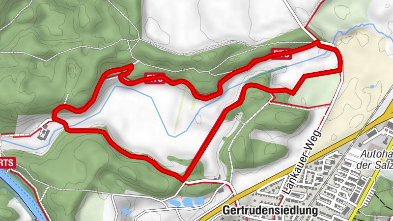 Spaziergang durch das Pirschbachtal
