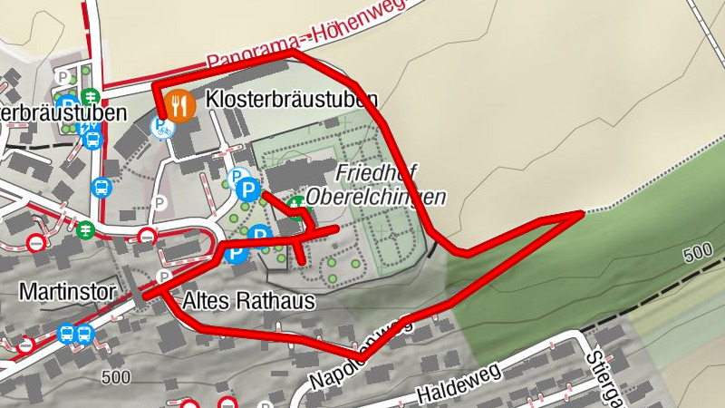 Napoleon in Elchingen