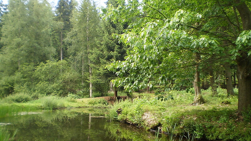 Karte