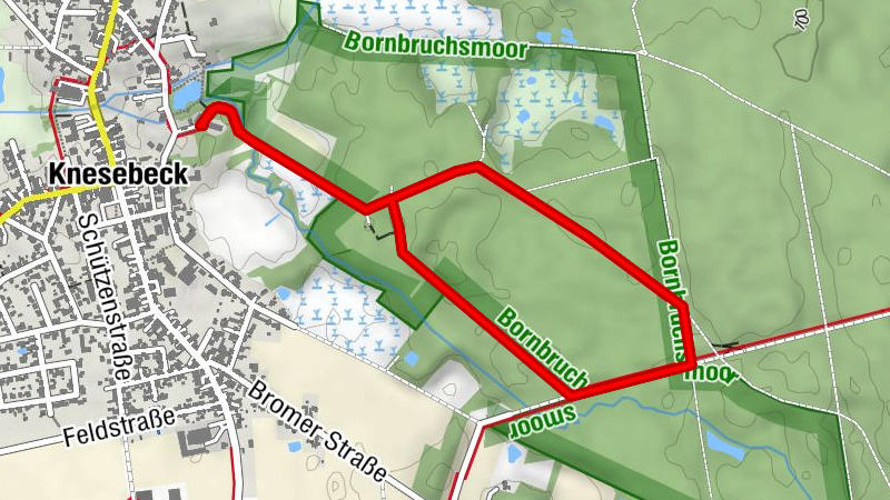 Walderlebnispfad "Brücken durchs Moor" Knesebeck