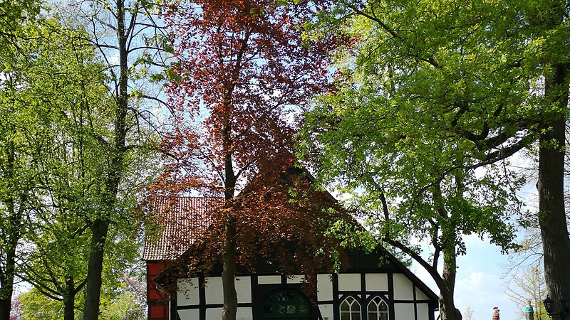 Karte