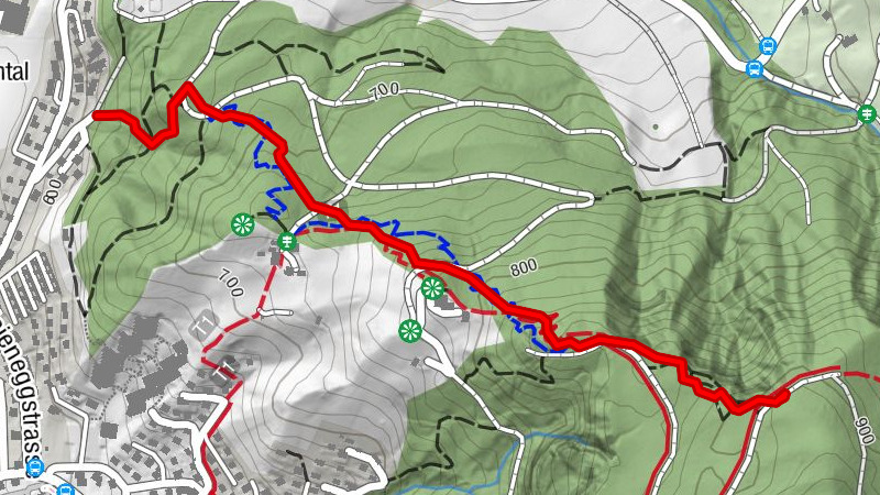Rabenfluh Trail