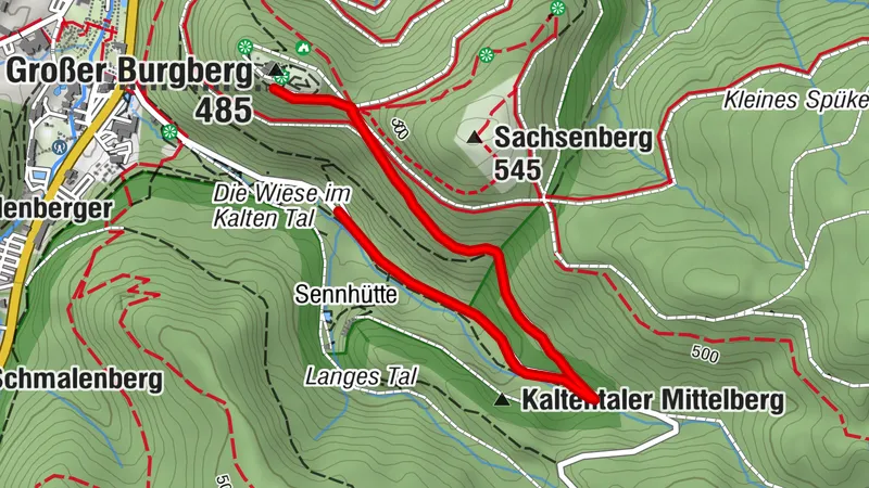 Großer Burgberg - Baumwipfelpfad & BaumSchwebeBahn | Leichte Strecke(n) | Rundwanderweg