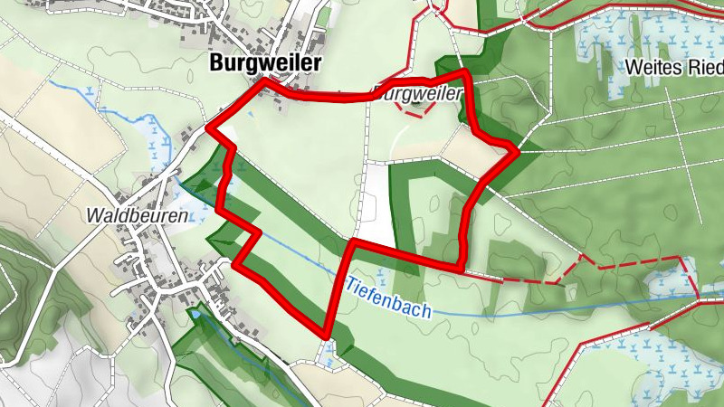 Riedlehrpfad Burgweiler