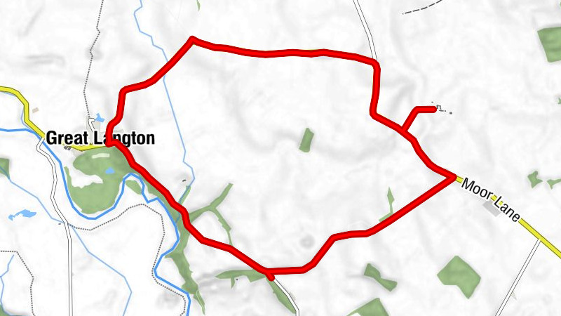 Langton Loop