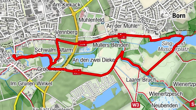 Narzissenweg in Brüggen (Niederrhein)