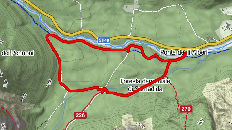 Somadida Forest - Acer Bridge Ring