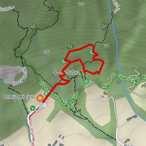 Parco Alpi Marittime | „Ciciuvagando“ – Steinpilze entdecken