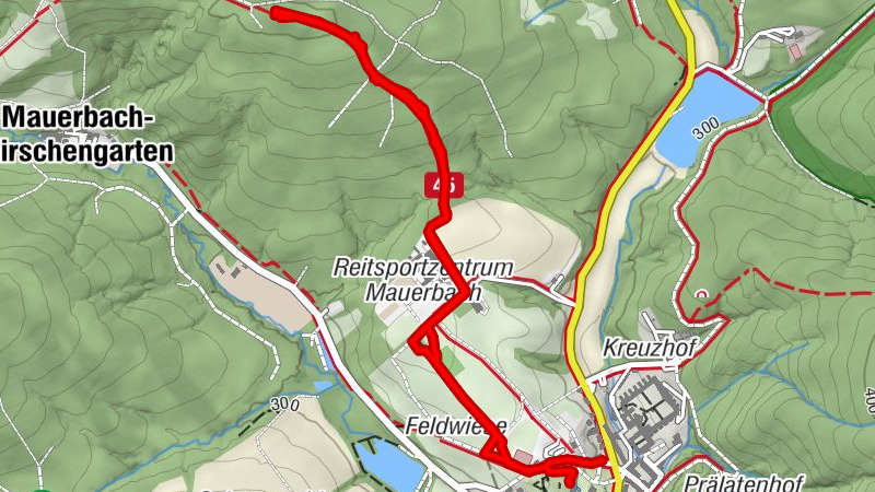 Milleniumseiche 250Jahre alt, Mauerbach/Niederösterreich