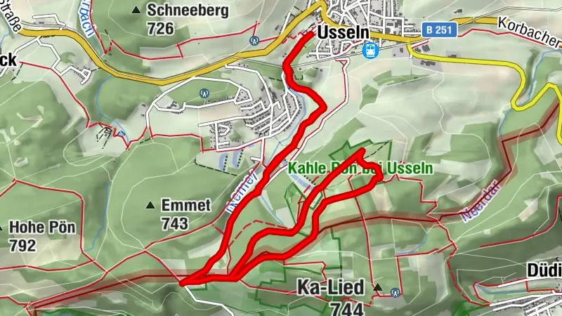Willingen-Usseln Nordic Walking (Kahle Pön)