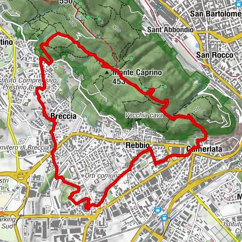 Anello Breccia Spina verde Camerlata Rebbio