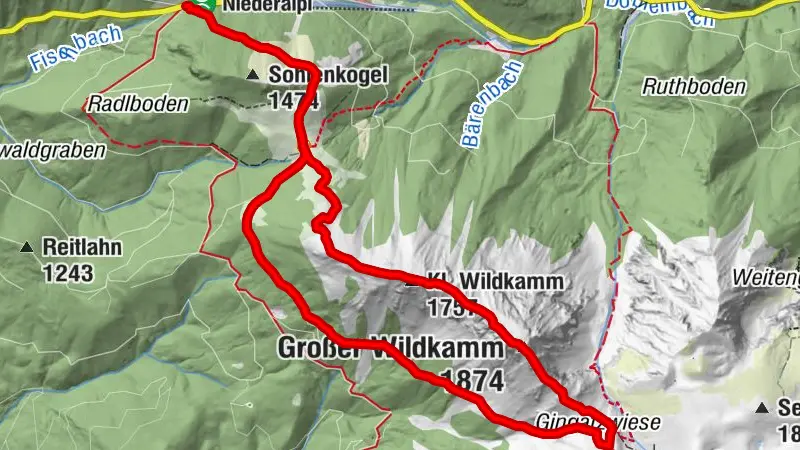 Wildkamm