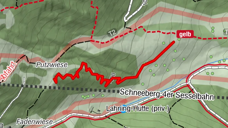 Black-Snake-Trail Alpen Bikepark Schneeberg