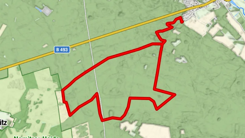 Durch die Gartower Tannen bis zur Nemitzer Heide