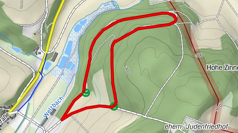 Waldlehrpfad Wenkheim Tour Tanne