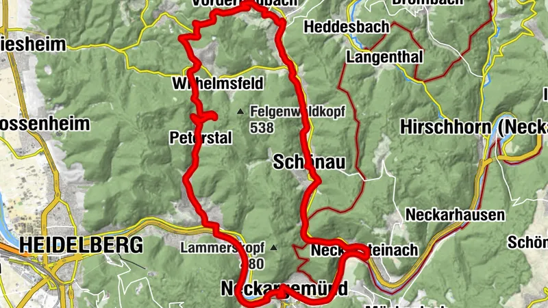 Rundtour Neckargemünd - Odenwald