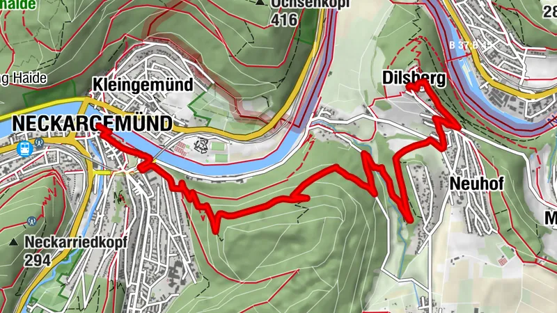 Wanderweg vom Schiffsanleger in Neckargemünd zum Dilsberg